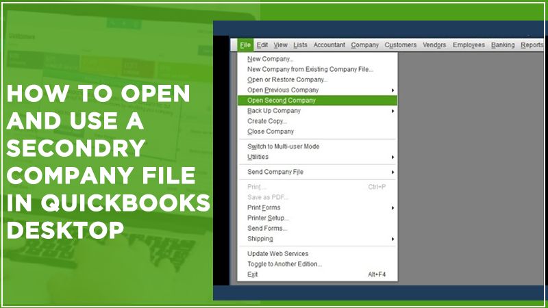 Open and use a secondary company file 