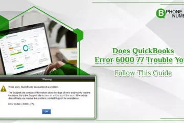 QuickBooks error 6000 77