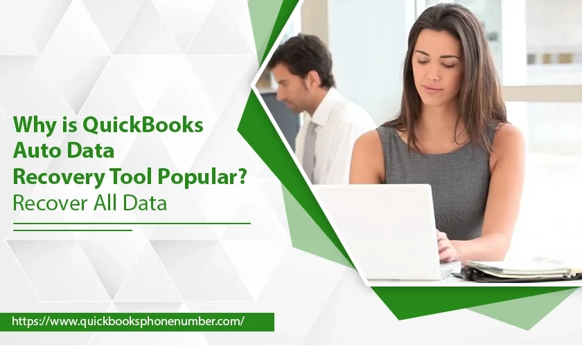 QuickBooks Auto Data Recovery 